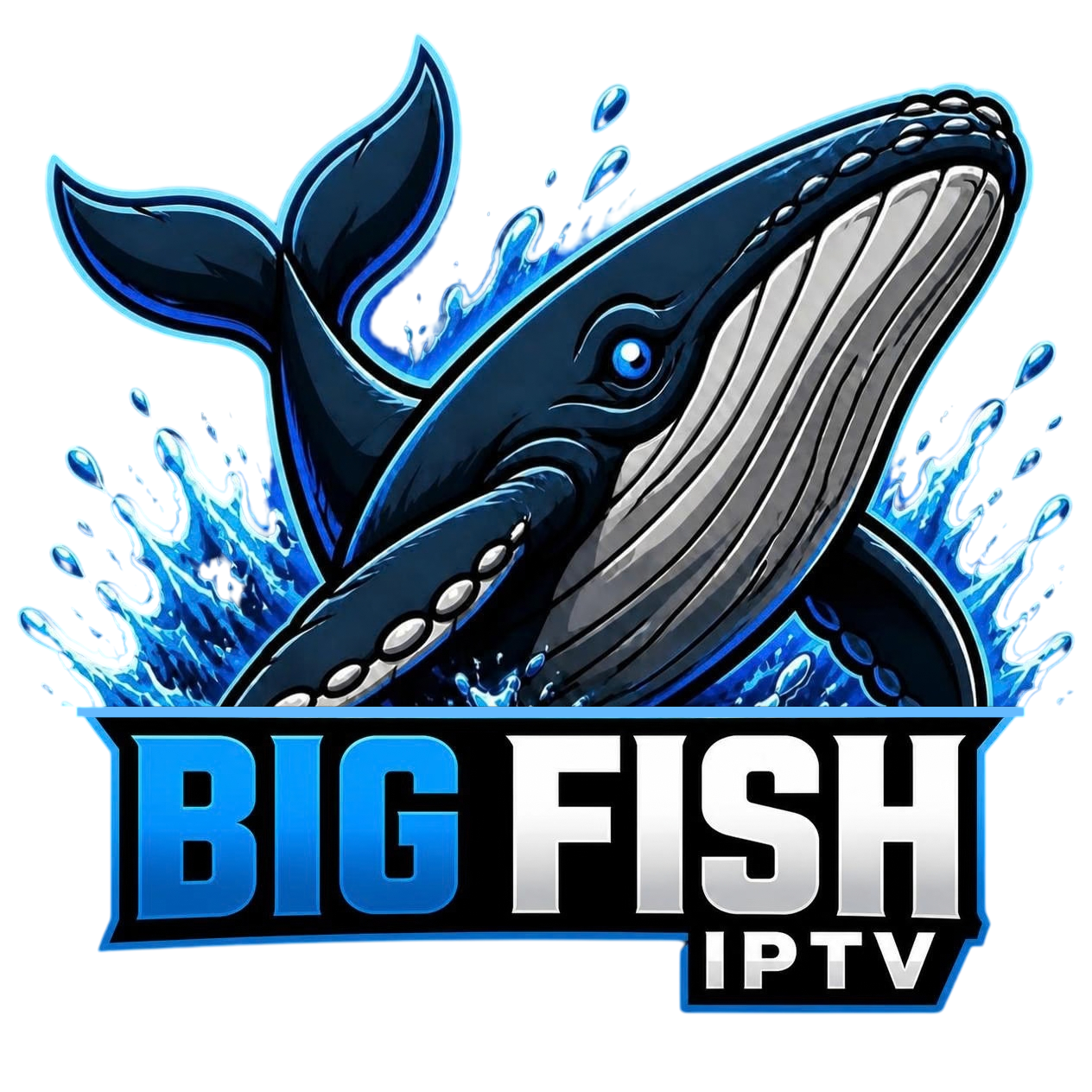 Big Fish IPTV Logo